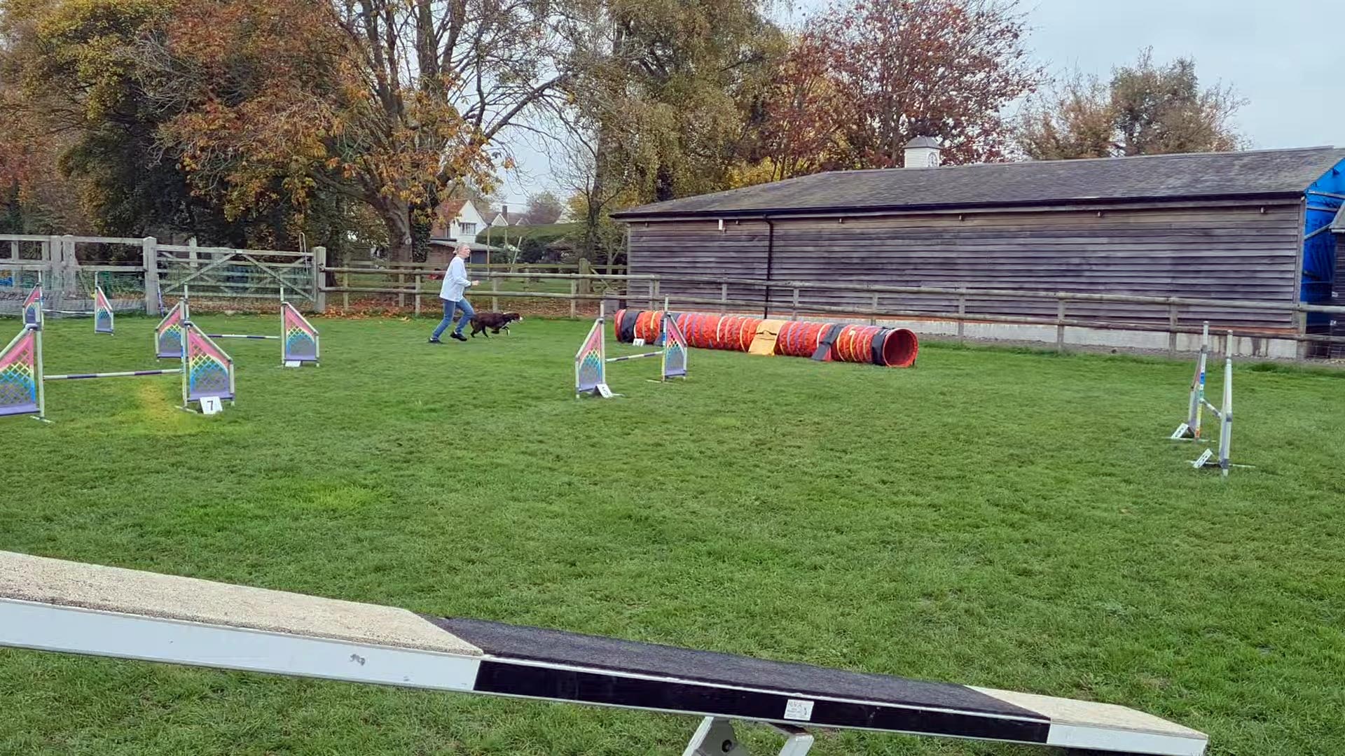 Head to Tail Dog Agility Logo